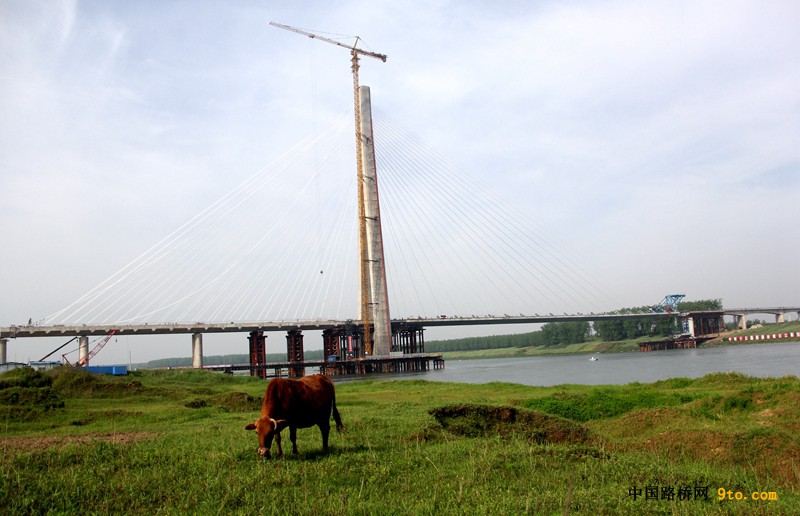 點擊打開原圖 1岳口漢江特大橋順利合龍